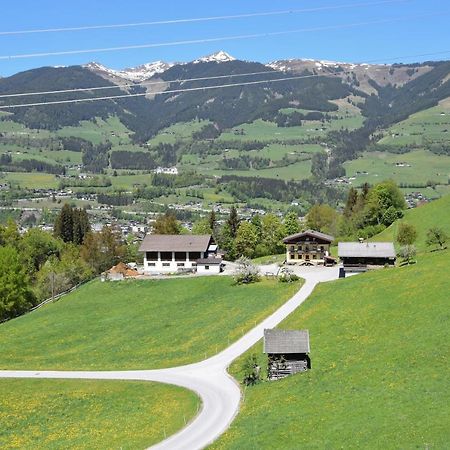 Loeschenbrandhof Apartman Mittersill Kültér fotó