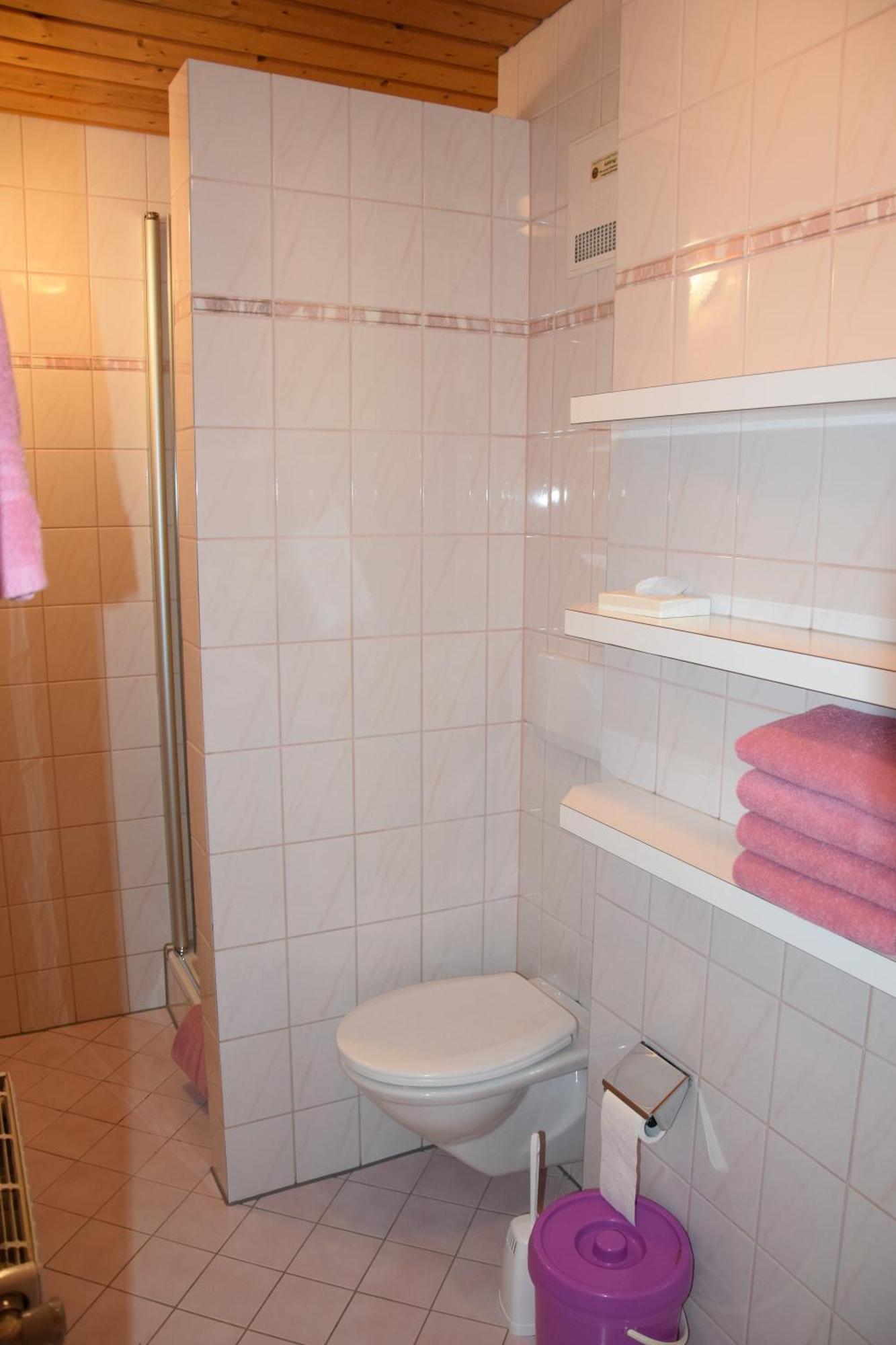 Loeschenbrandhof Apartman Mittersill Kültér fotó